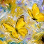 Sunlit Wings